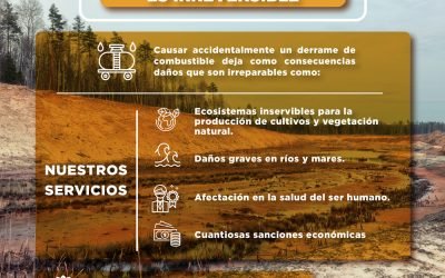 UN DAÑO POR COMBUSTIBLE ES IRREVERSIBLE