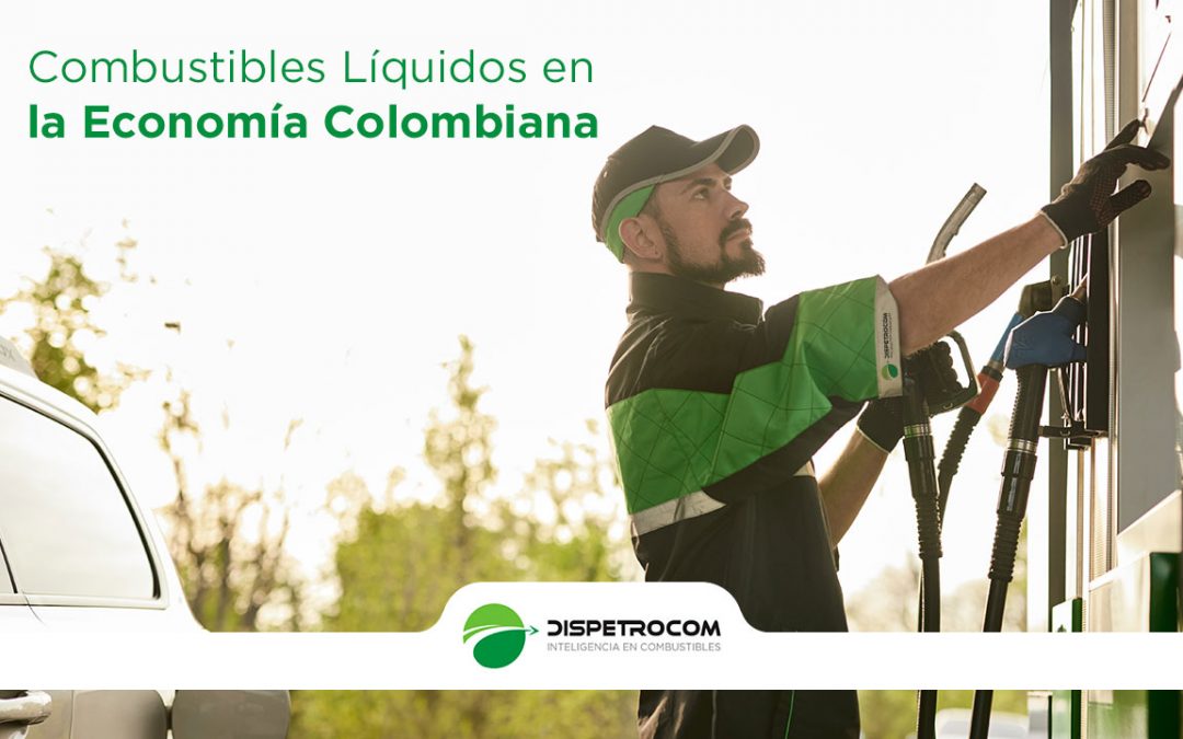 COMBUSTIBLES LÍQUIDOS EN LA ECONOMÍA COLOMBIANA